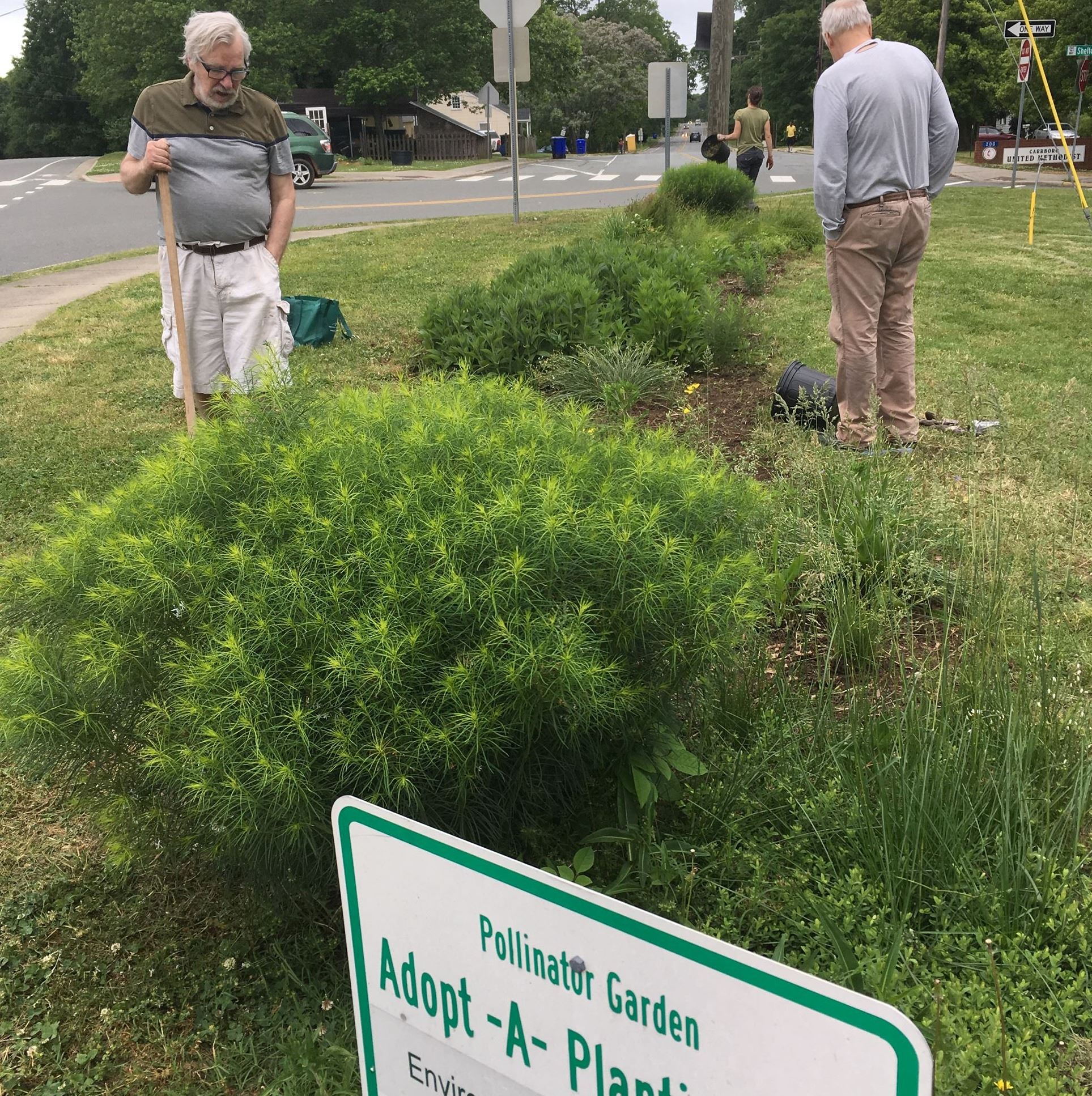 PollinatorGardenMaintenance