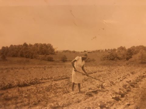 Strayhorn House and History