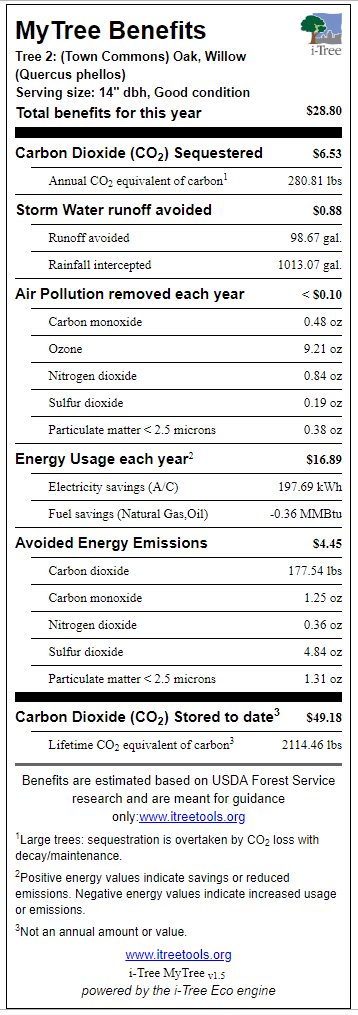 Willow Oak Town Commons
