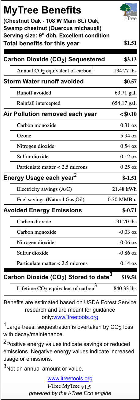 Chestnut Oak - 108 W Main