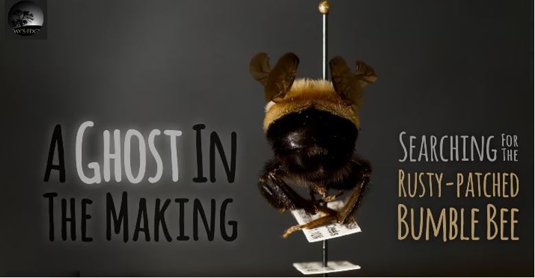 A Ghost In the Making